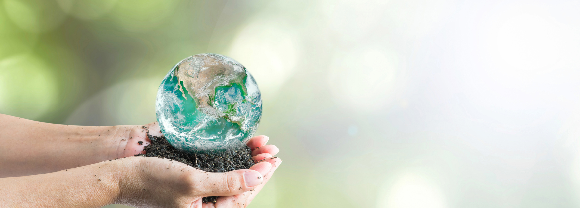 La nostra promessa di sostenibilità | Ecoover®